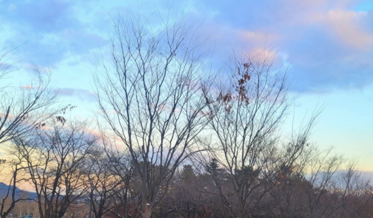 스크린샷 2025-12-12 오후 5.40